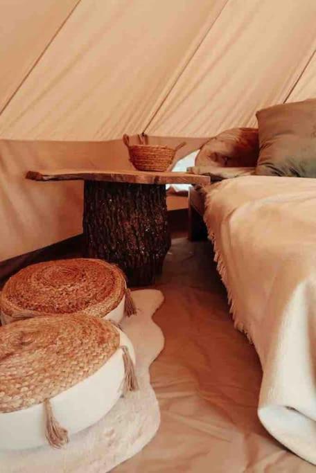 Le Haut Repaire Coubjours Habitación foto